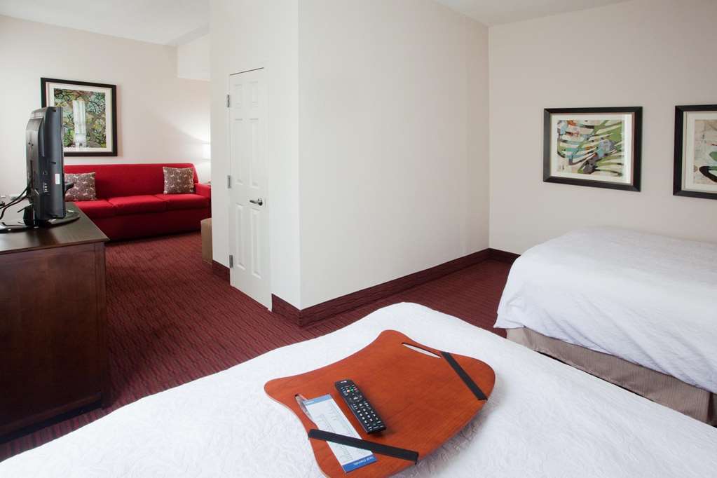 Hampton & Atlanta-downtown 3* Atlanta